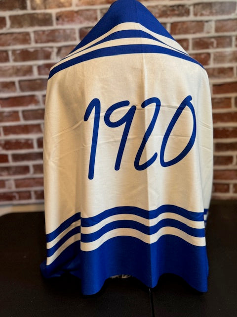 Principles Shawl (PRE-ORDER)