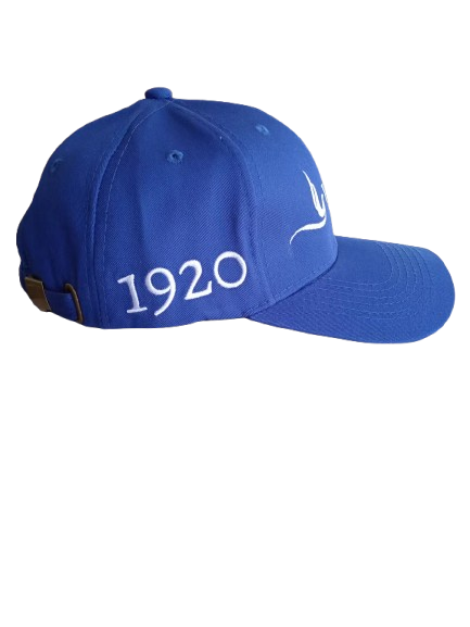 Zeta Veteran Hat PRE-ORDER