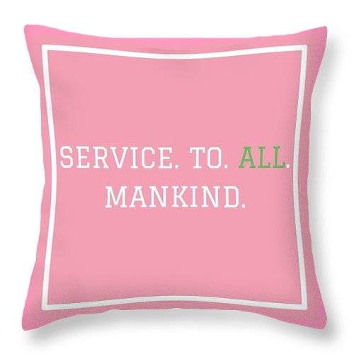 Principle Set Pillows