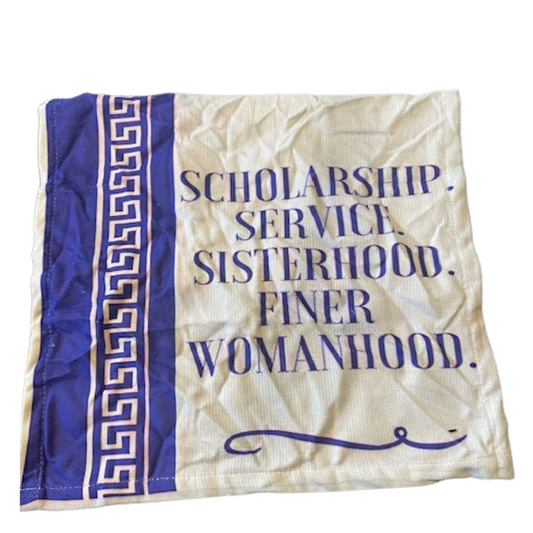 Principle Hand Towel (Read Description & Pictures)