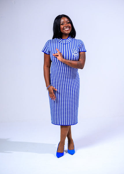 The Lenita - Zeta Houndstooth Dress | Only Took Five