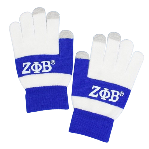 Zeta Winter Gloves2