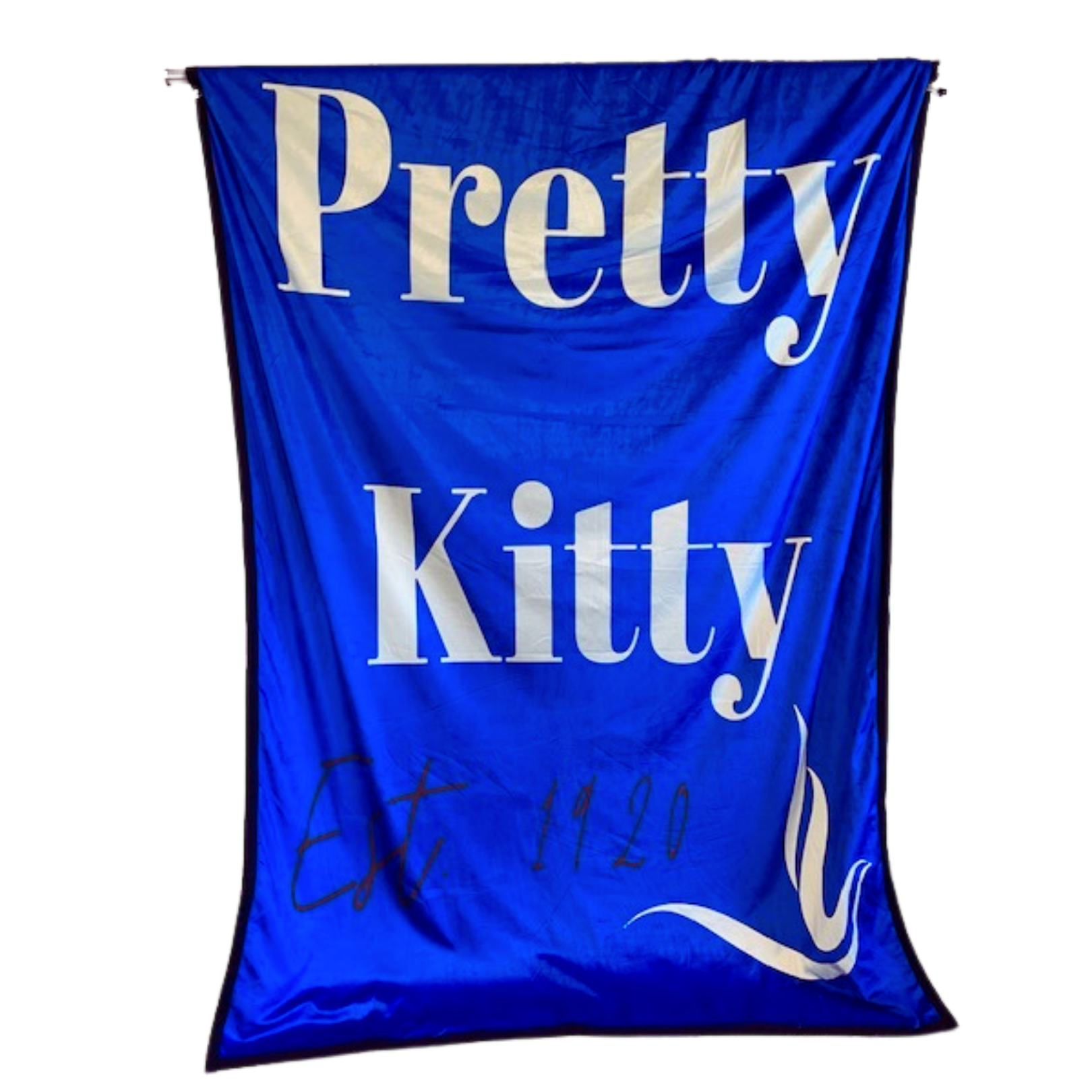 Pretty Kitty Blanket Waitlist