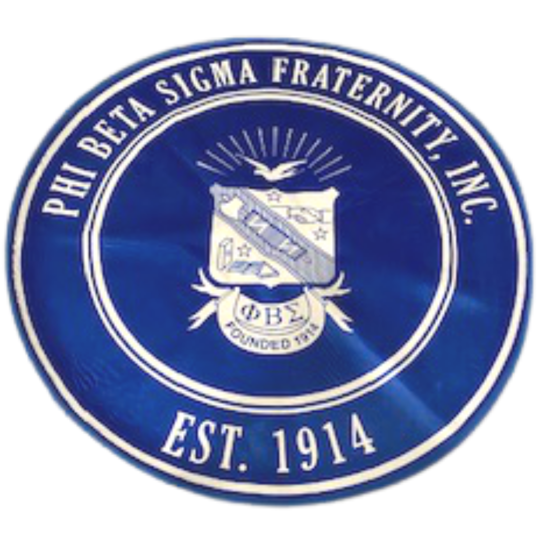 Blue/ Blue Sigma Rug